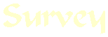 Survey